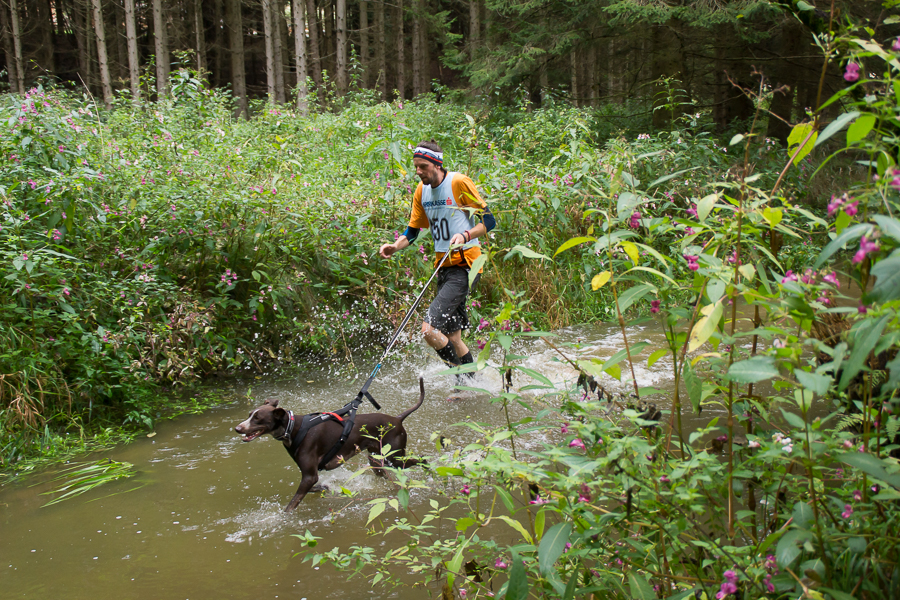 Dog Triathlon Litschau 2018